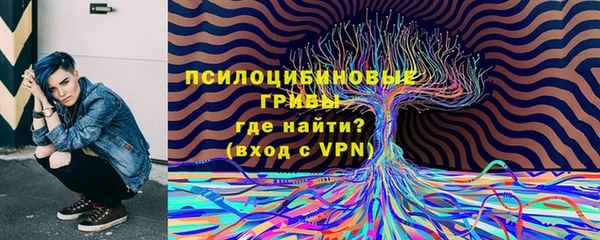 марки lsd Бугульма