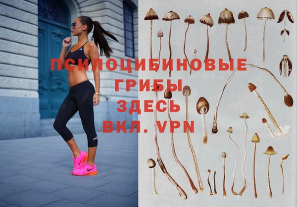 стафф Хадыженск
