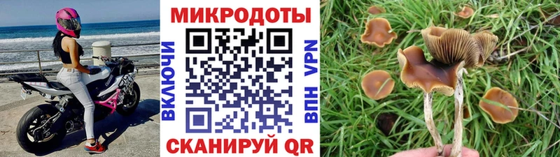 купить наркоту  Крым  Псилоцибиновые грибы Psilocybine cubensis 