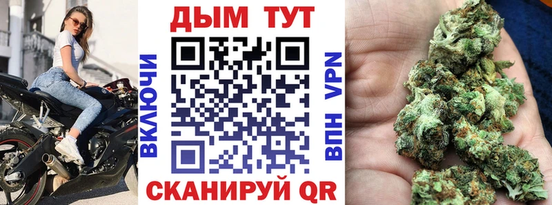 Канабис конопля  Крым 